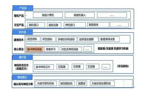 類腦智能 人工智能基礎(chǔ)軟件開發(fā)的另一條路徑